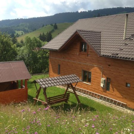 Карпатська Перлина Apartment Iltsi Luaran gambar
