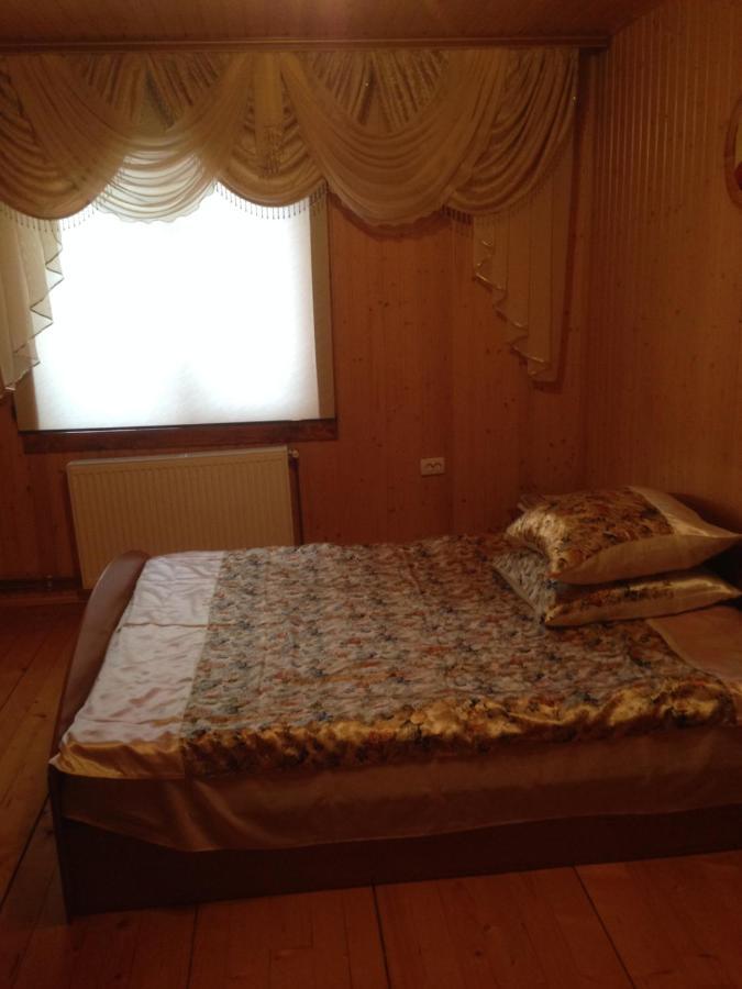 Карпатська Перлина Apartment Iltsi Luaran gambar