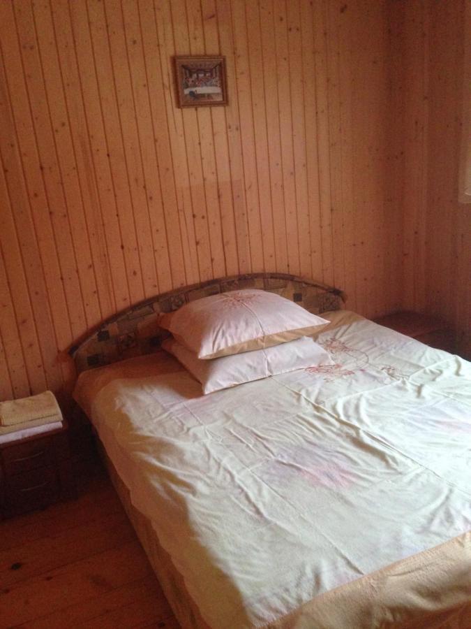 Карпатська Перлина Apartment Iltsi Luaran gambar